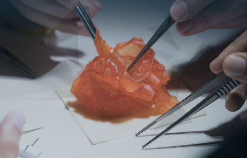 Stratasys BIOMIMICS remplace les cadavres humains et animaux pour l'entrainement des chirurgiens