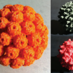 Des outils imprimés en 3D aident DeRisi Lab à étudier des maladies 