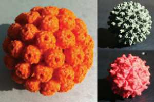 Des outils imprimés en 3D aident DeRisi Lab à étudier des maladies