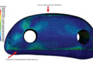 L’implant imprimé en 3D FDM redonne de l’énergie à ce chien