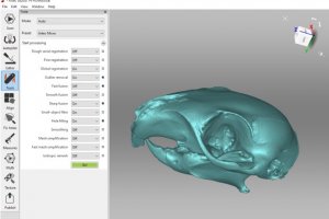 Artec Micro capture un crâne d'écureuil en 3D couleurs avec une précision submillimétrique en quelques minutes