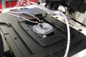 Une université utilise plusieurs types d’imprimantes 3D pour améliorer sa recherche