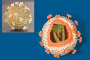 Une université utilise l’impression 3D pour faire progresser l’enseignement et la recherche